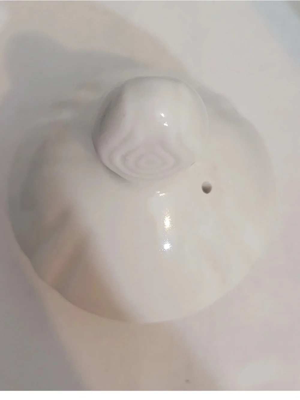 Strawberry Floral Ceramic Teapot With Lid White Small Cottagecore